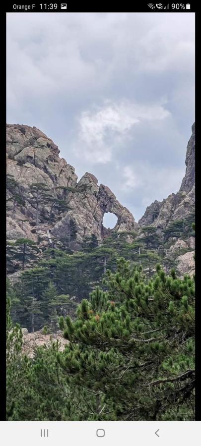 Fresi Gustave Daire Levie Dış mekan fotoğraf