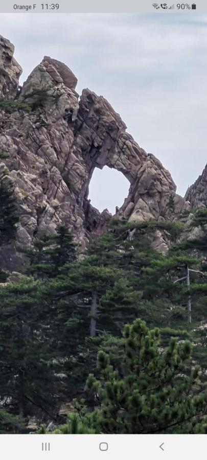 Fresi Gustave Daire Levie Dış mekan fotoğraf